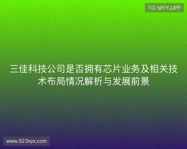 三佳科技公司是否拥有芯片业务及相关技术布局情况解析与发展前景